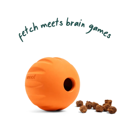 FLYBALL SINGLE ORANGE