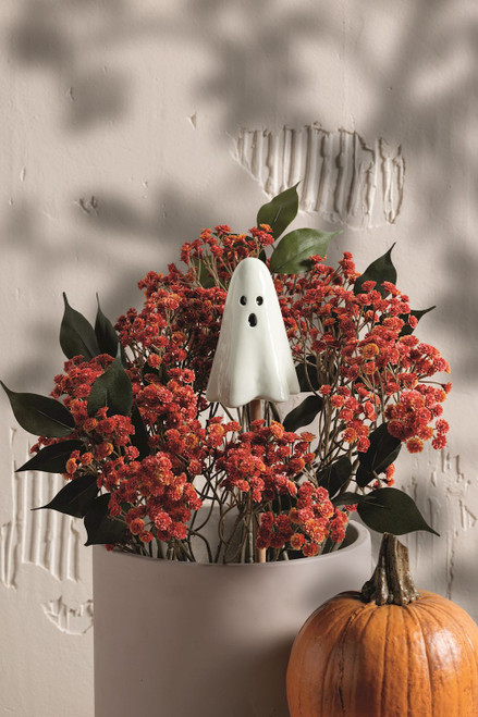 GHOST PLANT STAKES