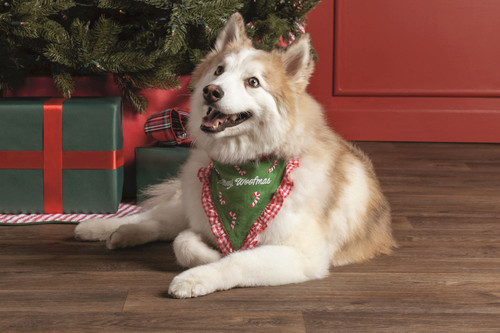 MERRY WOOFMAS BANDANA