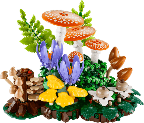 WOODLAND MUSHROOMS