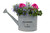 PP GALVANIZED WATERING CAN COMBO