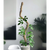 BENDABLE MOSS POLE 30"
