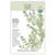 SEED THYME ENGLISH ORGANIC