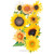 SEED SUNFLOWER FLORIST'S BOUQUET HYB