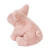 PINKIE PIG MINI SOFT