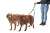 TWO TAILS DOUBLE DOG LEASH