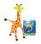GIRAFFES CAN'T DANCE BOOK SET