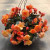 HANGING BASKETS & PATIO PLANTERS