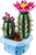 LEGO© FLOWERING CACTUS