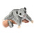 SQUEEK SUGAR GLIDER
