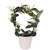 5" STEPHANOTIS IN CERAMIC