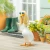 GIDDY GOOSE FASHION ICON
