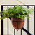RAILSCAPE NARROW
