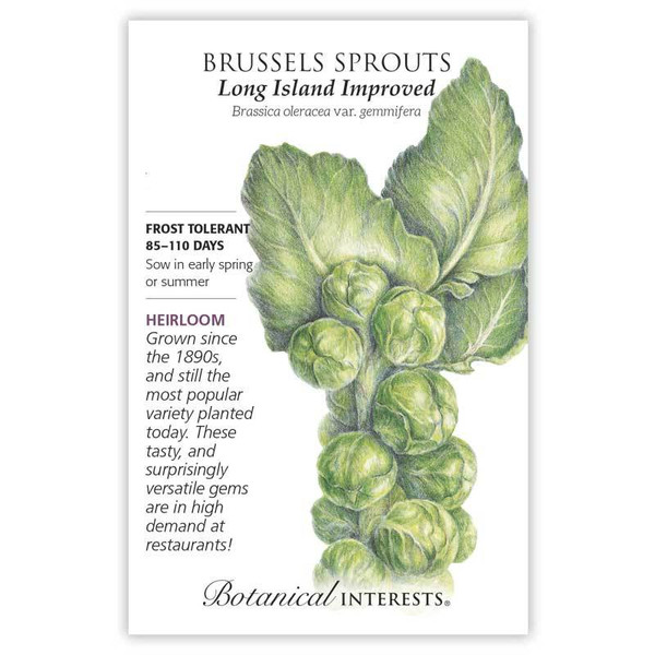 SEED BRUSSELS SPROUTS LONG ISLAND IMP