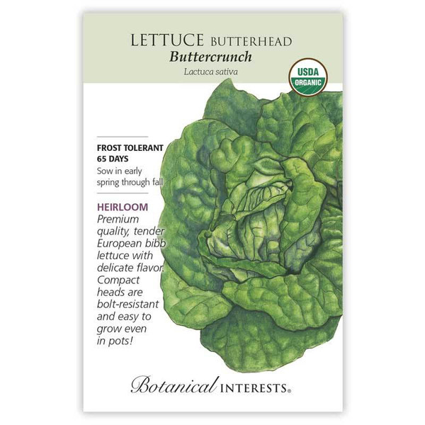 SEED LETTUCE BUTTERHEAD BUTTRCRNCH