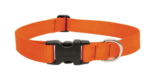 LUPINE PET BASIC SOLIDS BLAZE ORANGE BLAZE ORANGE NYLON DOG ADJUSTABLE COLLAR