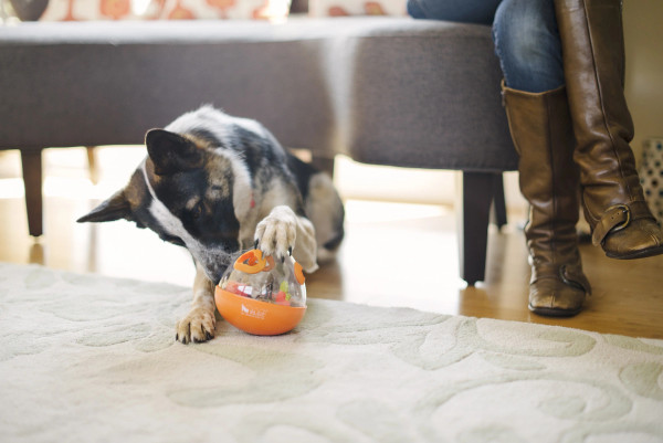 WOBBLE BALL ENRICHMENT DOG TOY