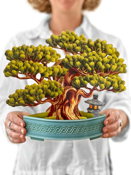 CARD WISDOM BONSAI