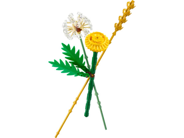 LEGO BOTANICAL: FIELD FLOWERS