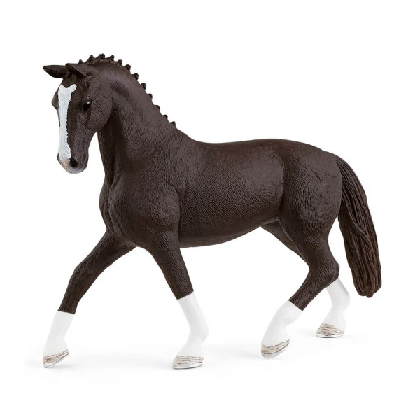 BLACK AND WHITE HANOVERIAN MARE