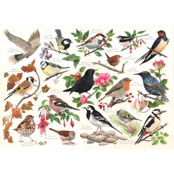 BIRDS IN MY GARDEN 1000 PC PUZZLE