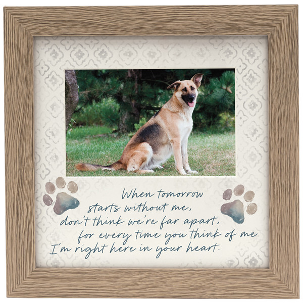 TOMORROW PET FRAME