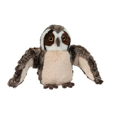 ECHO OWL