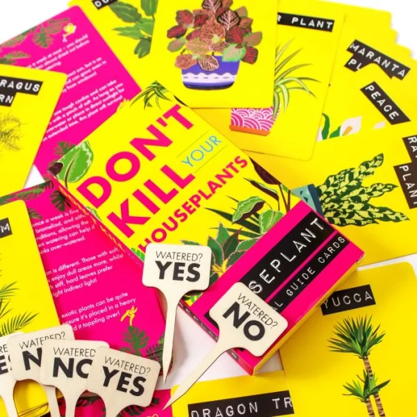 DON'T KILL YOUR HOUSEPLANTS