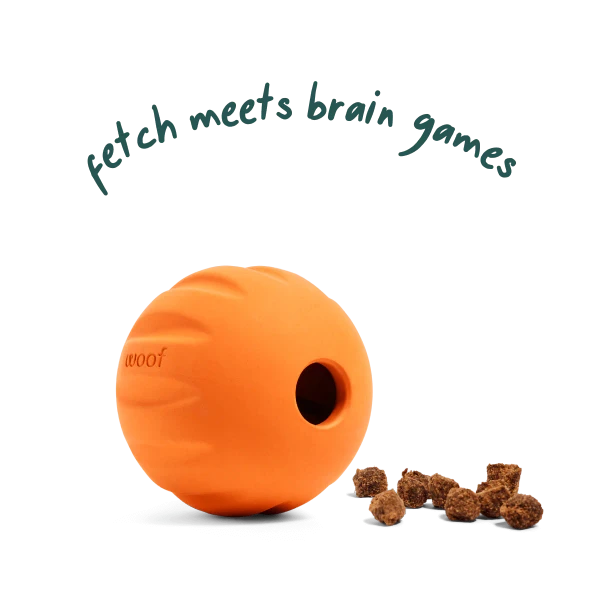 FLYBALL SINGLE ORANGE