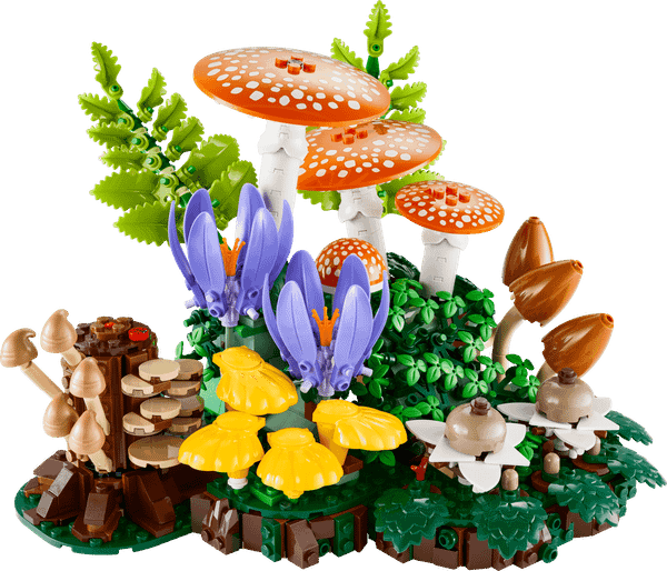 WOODLAND MUSHROOMS