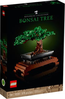 mr. miyagi bonsai The 'Miyagi' Bonsai – Fiddleheads Garden Center main image 1