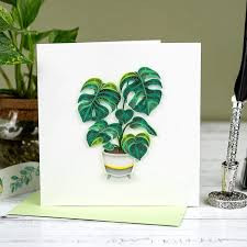 philodendron rollt blätter ein Herzblatt-Philodendron 'Brasil' - Philodendron scandens Brasil main image 0