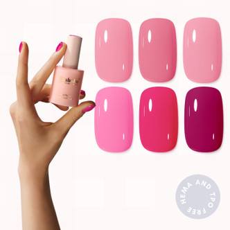 Rose Mood 6 Piece Gel Polish Collection
