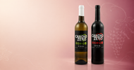 How Doctors Define "Alcohol-Free" in Pregnancy