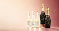 Best Single-Serve Non-Alcoholic Wines to Try (2026)