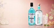 Best Non-Alcoholic Gin for Pregnancy-Safe Cocktails