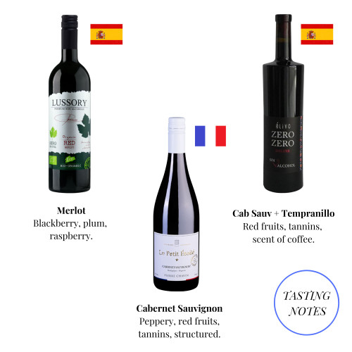 Tasting notes for three top non-alcoholic red wines from Spain and France, including Merlot, Cabernet Sauvignon, and Tempranillo blends. Tasting notes for three top non-alcoholic red wines from Spain and France, including Merlot, Cabernet Sauvignon, and Tempranillo blends.