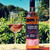 Lussory Premium 4-Bottle Set – Tempranillo, Brut, Airén & Rosé (0.0% ABV) – alternate view 6