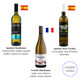 Tasting notes of pregnancy-safe white wines from Spain and France with Lussory, Elivo, and Pierre Chavin