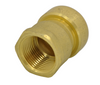 Aqua Plumb PipeBite 3/4" x 3/4" Female Adapter FPT