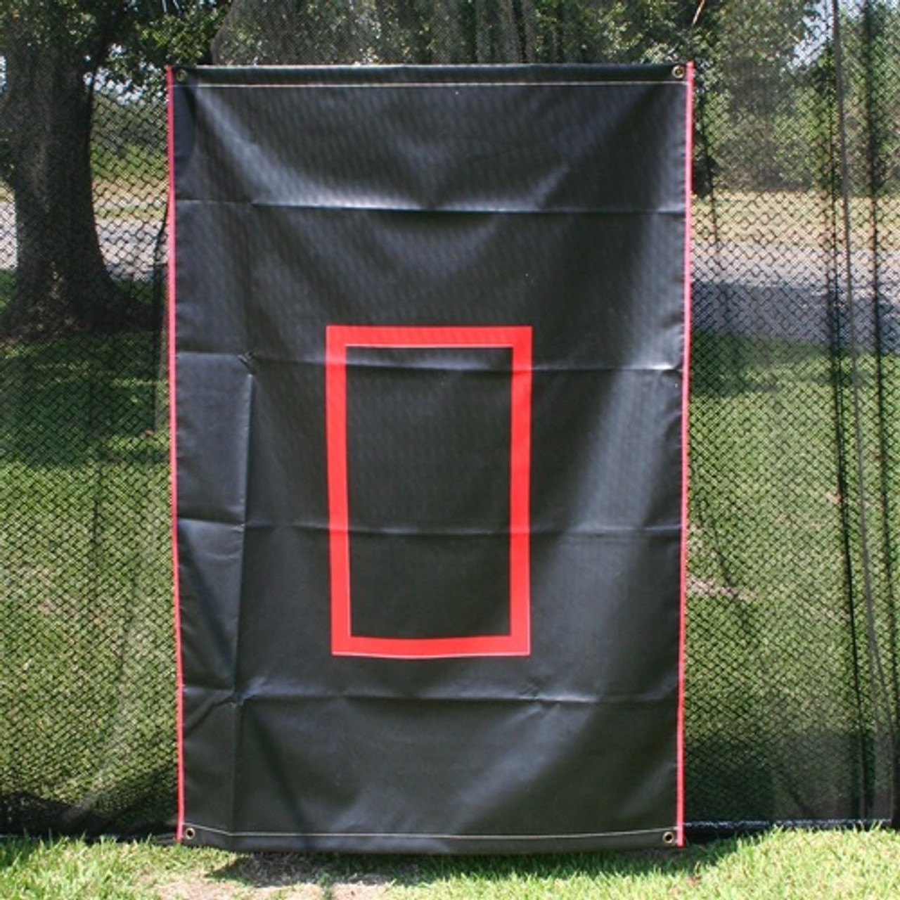 Batting Cage Backdrop 4x6 Canvas