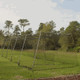 Batting Cage Net Outside