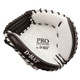D-Bat Catcher's Mitt G127H Front