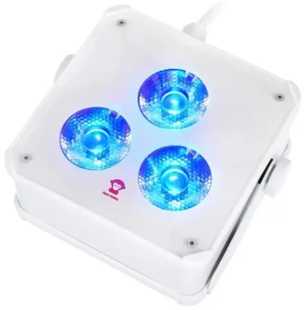Ape Labs Maxi INS 2+ Solo Creme