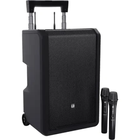 LD Systems Anny 10 HHD2 B51