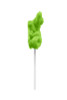 Gator Lollipop Box