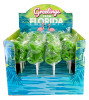 Gator Lollipop Box