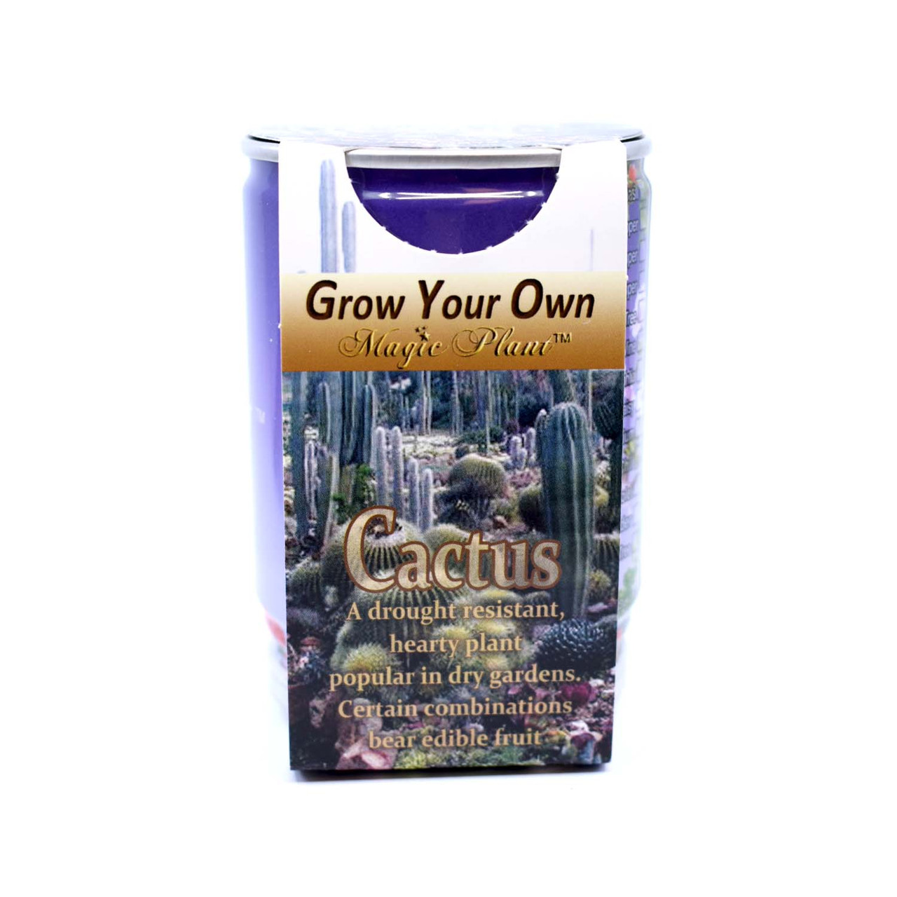 Cactus Growing kit Amelio C Enterprises, Inc