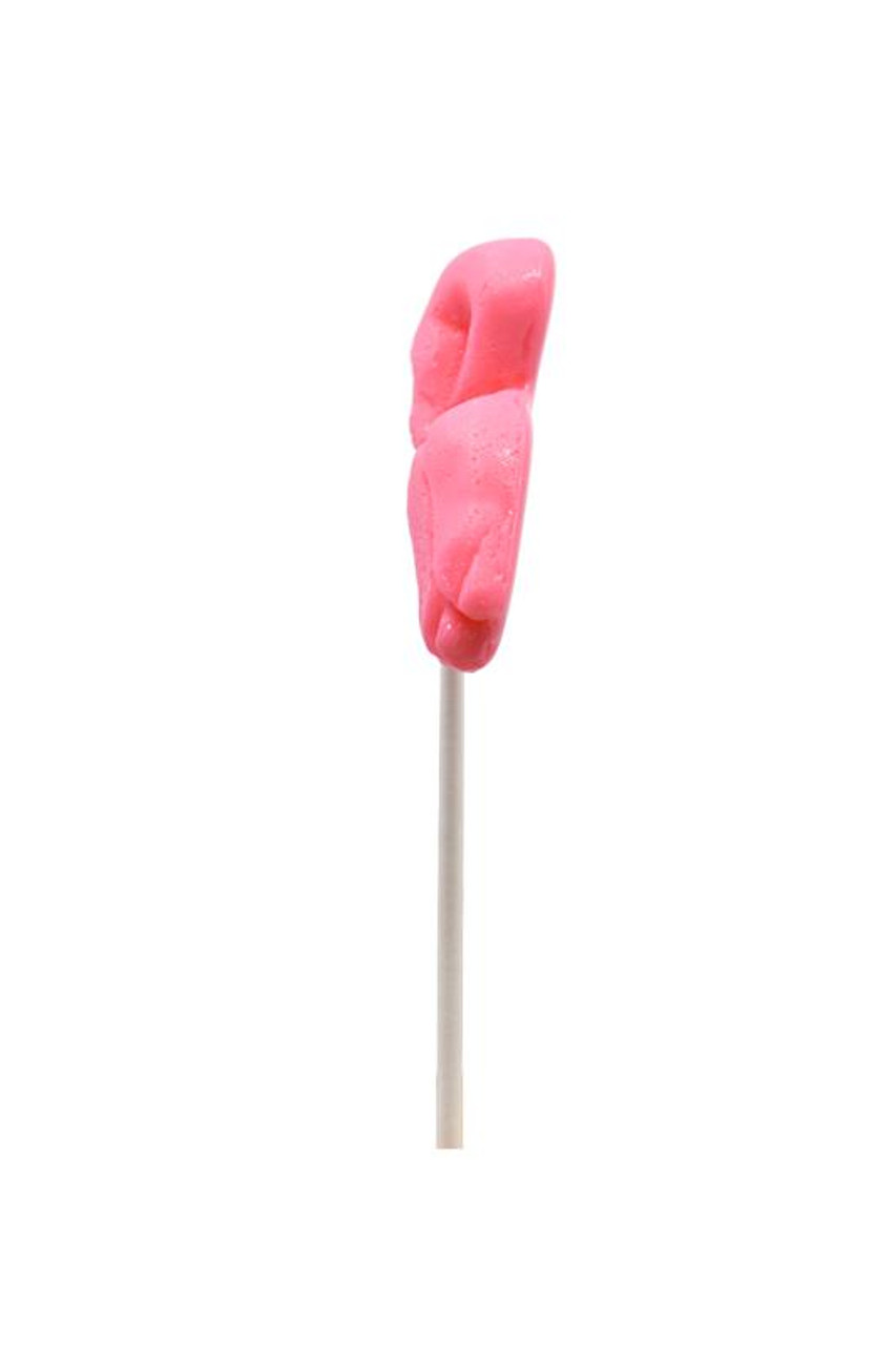 Pink Flamingo Lollipop Box