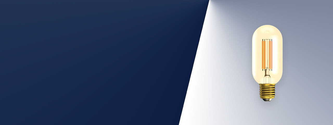 Decorative Tubular Bulbs